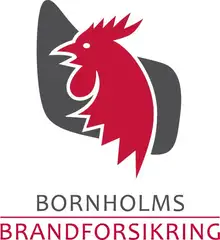 Bornbrand logo