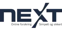Next logo